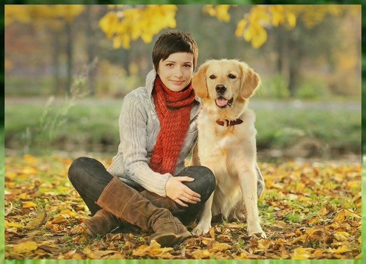 北京可以养的护卫犬（北京禁养犬目录）